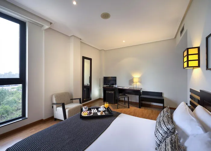 Mejores hoteles que admiten perros en Ourense