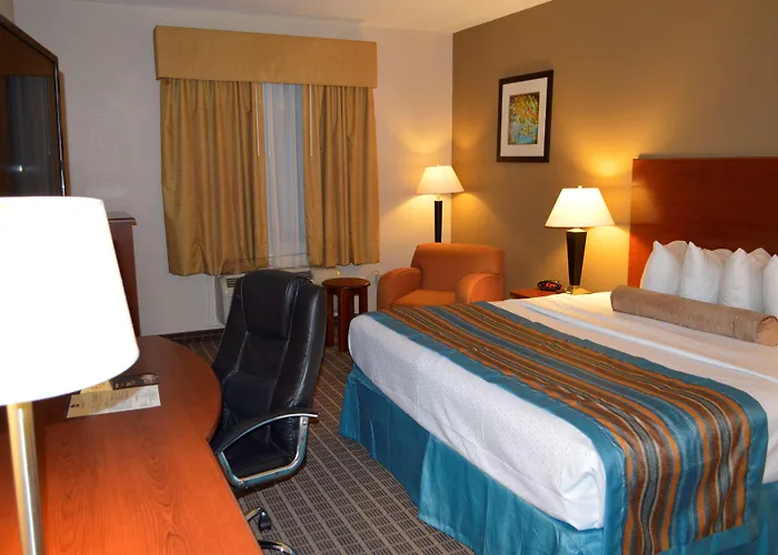 Best Hotels Near Orange County Convention Center