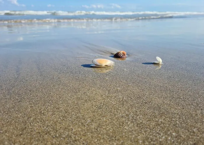Migliori Hotel 3 Stelle a Vasto Marina