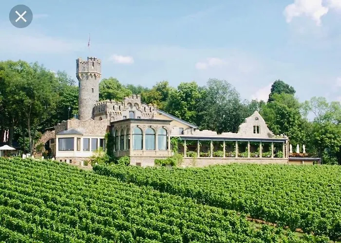 Erstklassiges Hotel in Geisenheim mit Weinkultur