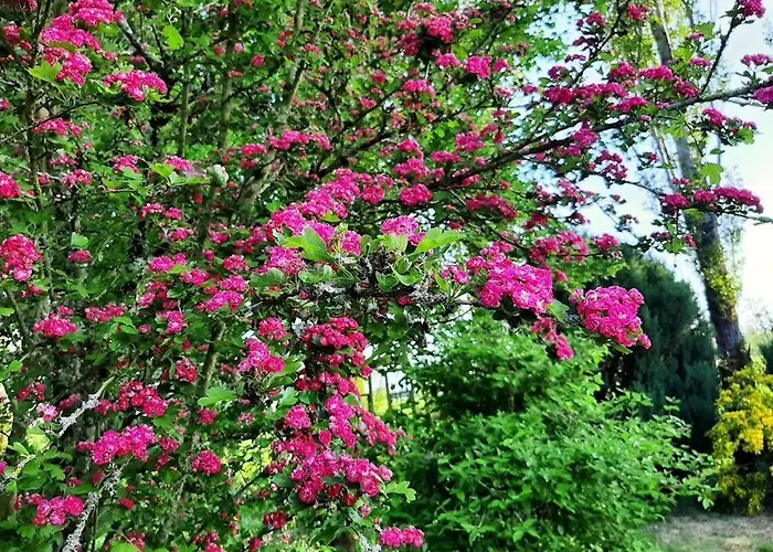 Meilleurs hotels Vue sur mer à Vue