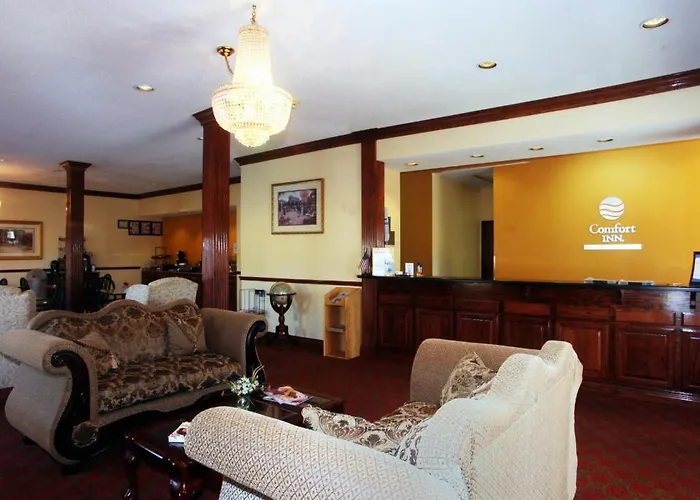 Top Jacksonville Area Hotels for Every Traveler