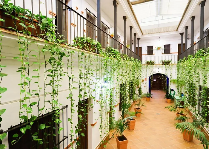 Mejores Aparta Hoteles en Matalascañas